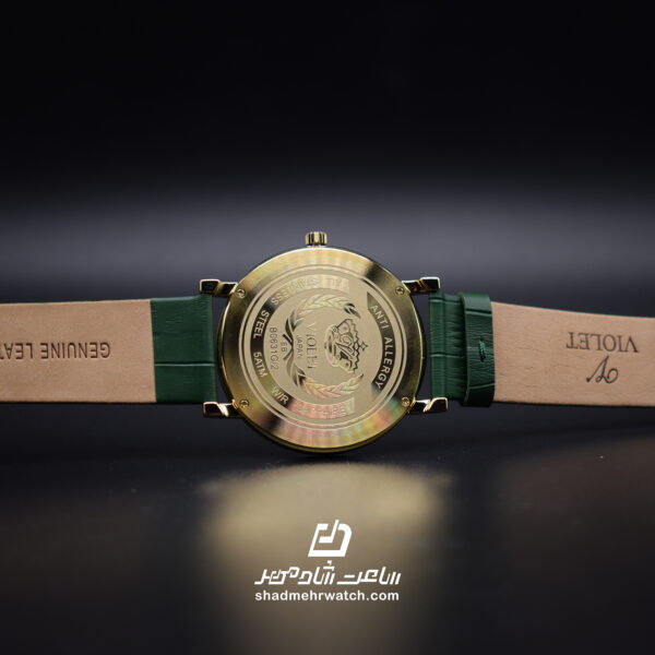 ساعت مچی مردانه ویولت مدل B0631G/2